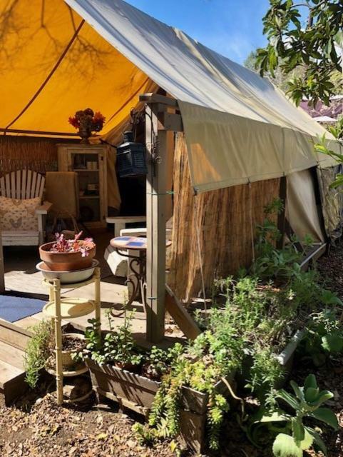 La Boheme Living Tenda de luxo Los Angeles