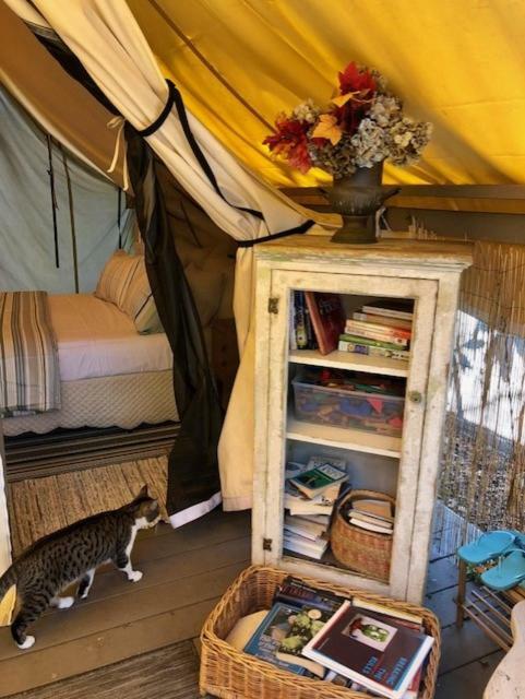 La Boheme Living Tenda de luxo *